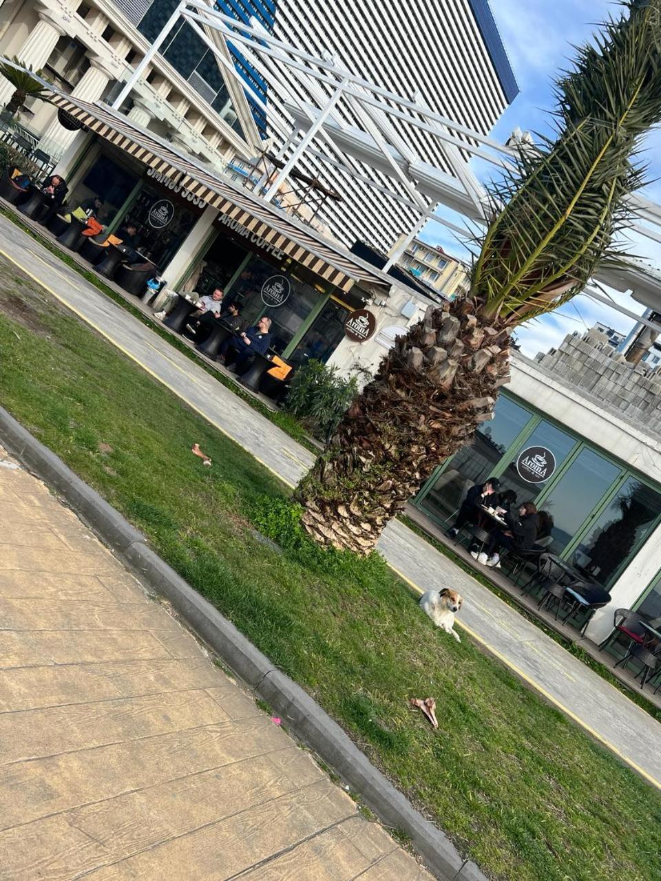 Hotel Paris Batumi Exteriér fotografie